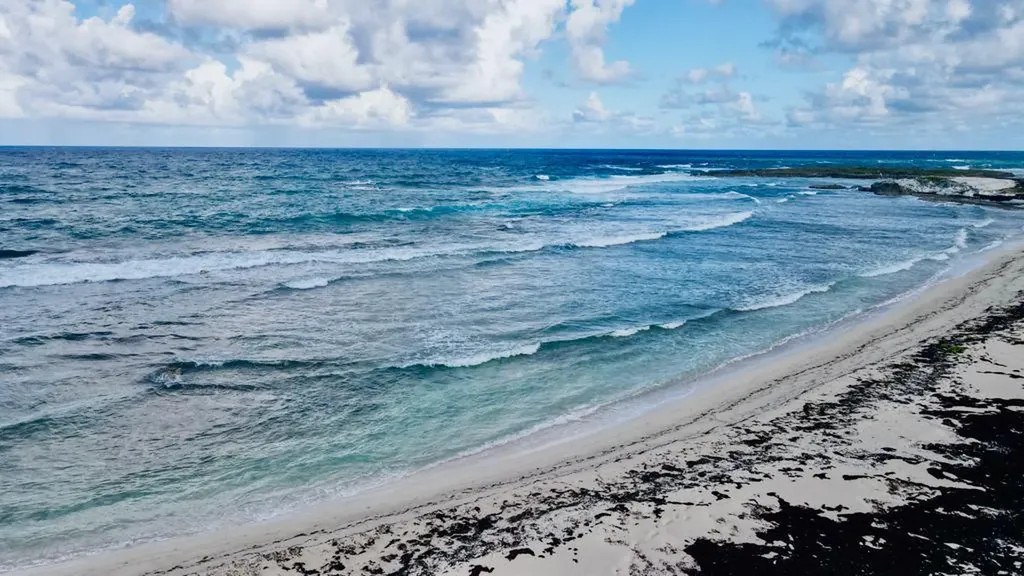 Millers, Long Island Long Island BS