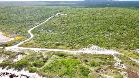 Millers, Long Island Long Island BS