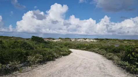 Millers, Long Island Long Island BS