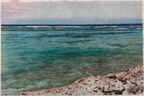 Bunches, Long Island Long Island BS