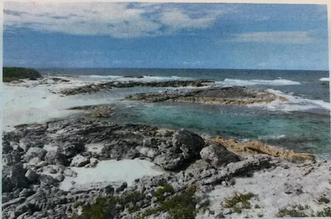 Bunches, Long Island Long Island BS