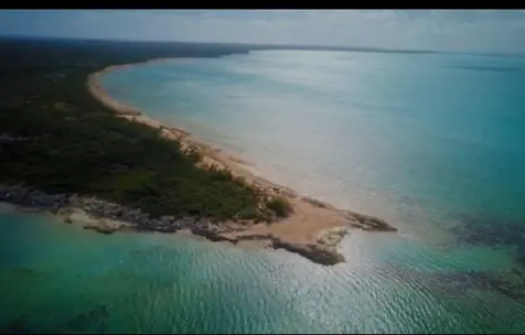 Bunches, Long Island Long Island BS