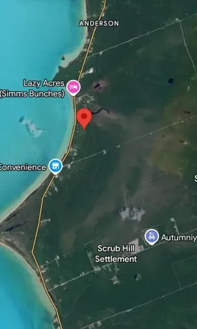 Bunches, Long Island Long Island BS