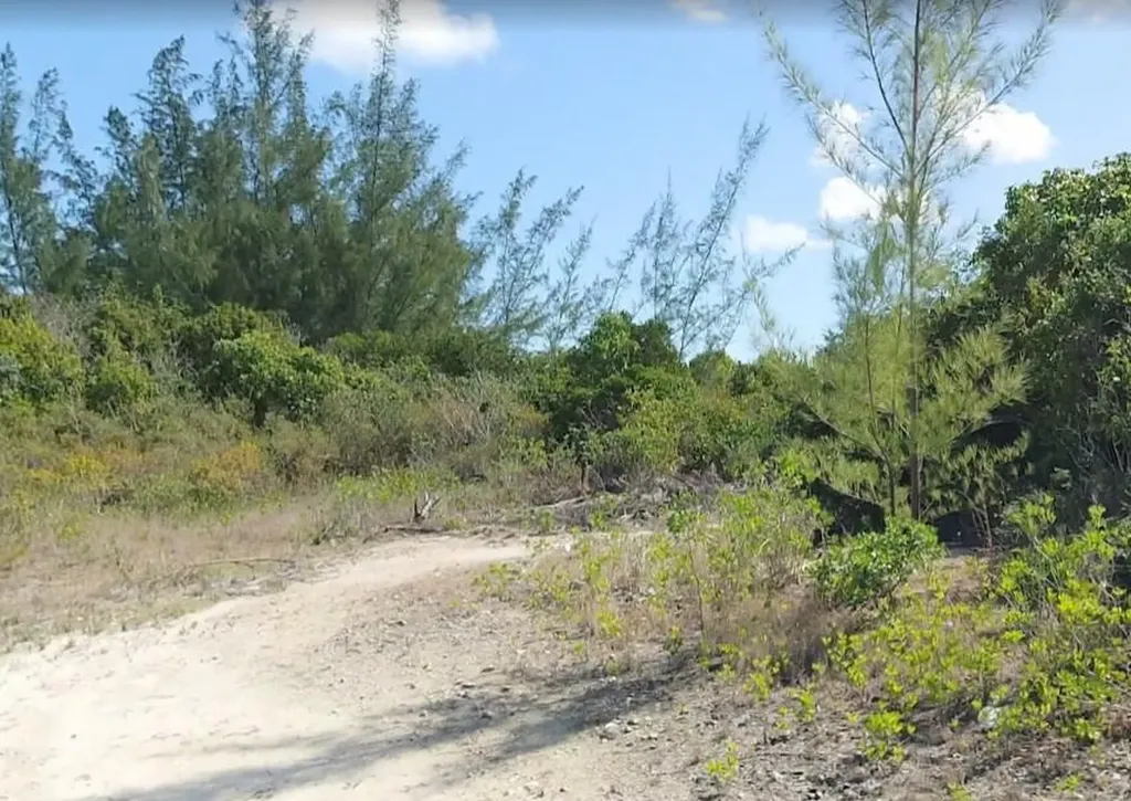 Bonefish Bay San Salvador BS
