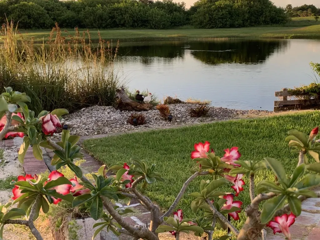 Royal Palm Way Grand Bahama Freeport BS