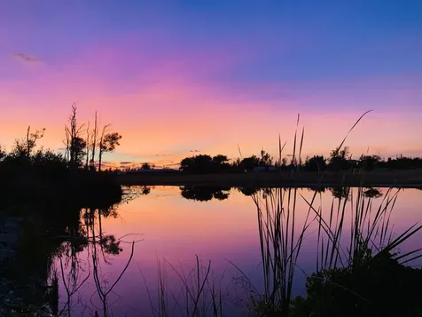 Bahama Reef Yacht & Count Grand Bahama Freeport BS