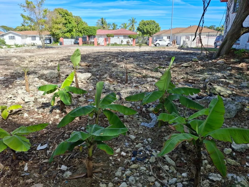 Yamacraw Vacant Lot! New Providence Paradise Island BS