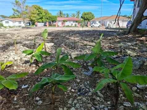 Yamacraw Vacant Lot! New Providence Paradise Island BS