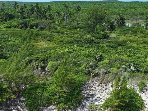 5a Beachfront Double Bay Eleuthera BS