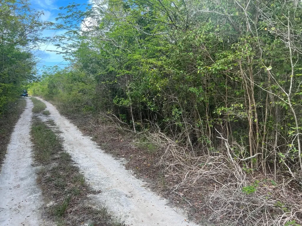Indigo Avenue Exuma BS
