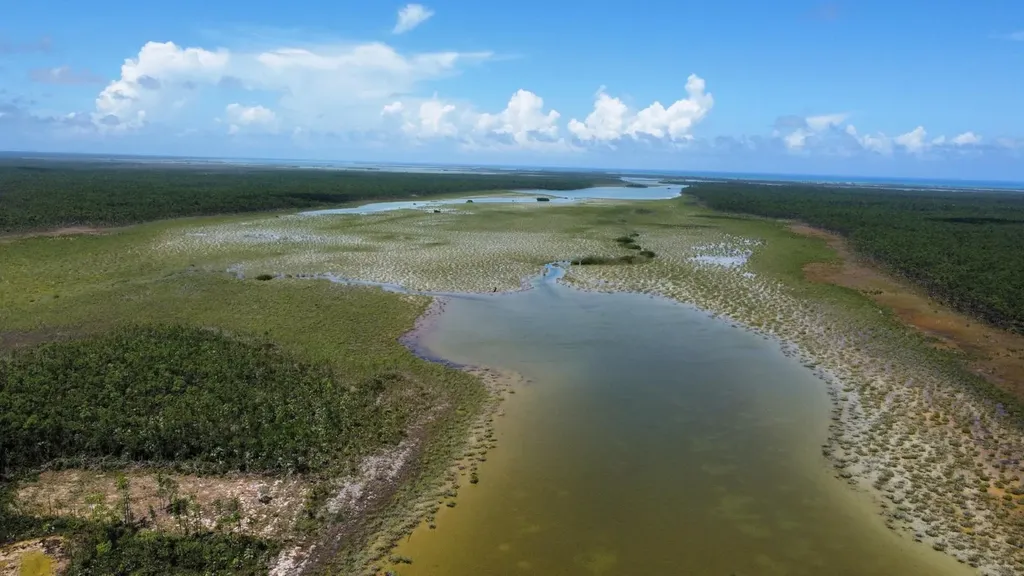 Lot D Queens Highway Andros BS