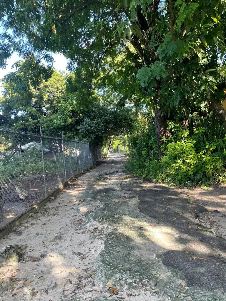 Fox Hill 1 New Providence Paradise Island BS