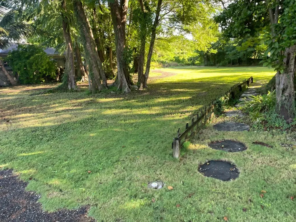 Fox Hill 1 New Providence Paradise Island BS