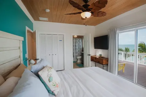 Perky Pelican Abaco BS