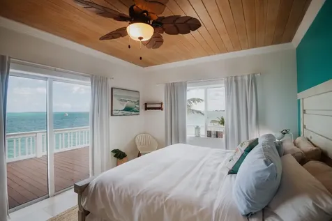 Perky Pelican Abaco BS