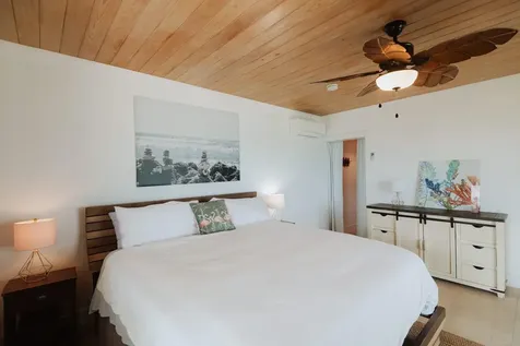 Perky Pelican Abaco BS