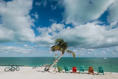 Perky Pelican Abaco BS