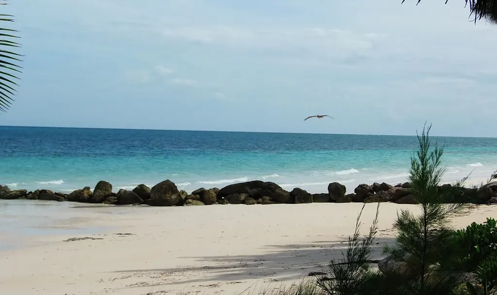 Basset Cove Hideaway Grand Bahama Freeport BS