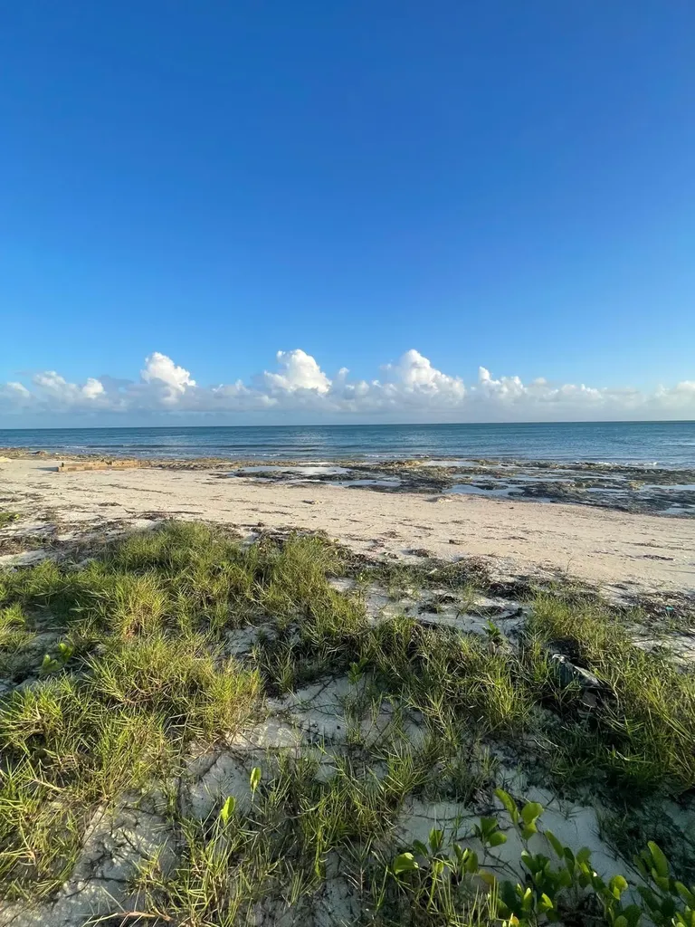 Basset Cove Hideaway Grand Bahama Freeport BS