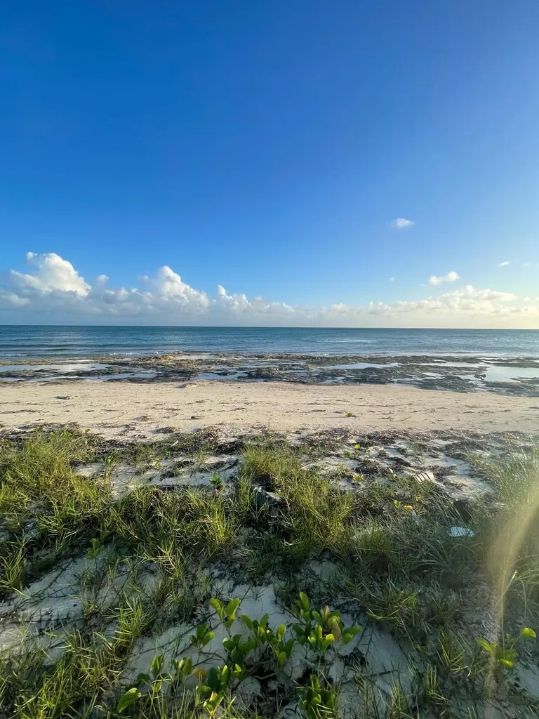 Basset Cove Hideaway Grand Bahama Freeport BS