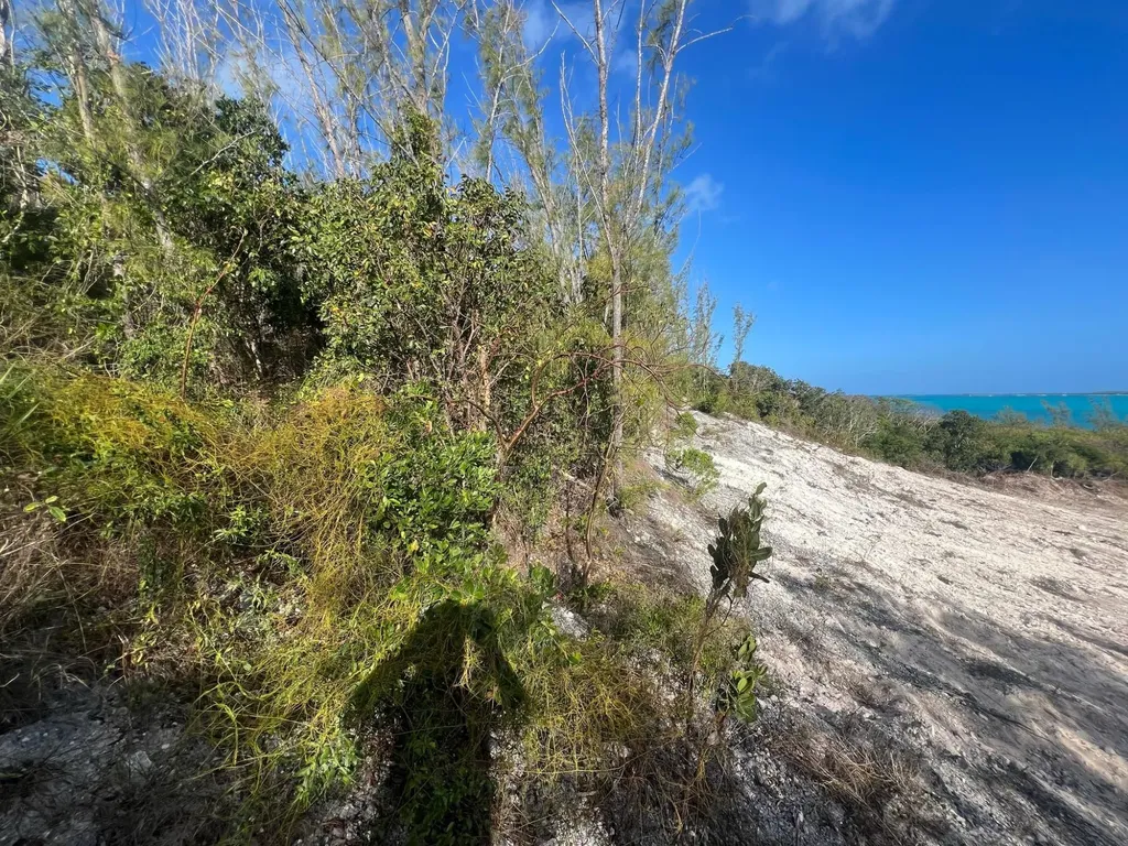 Off Water Street / Queen's Highway Exuma BS