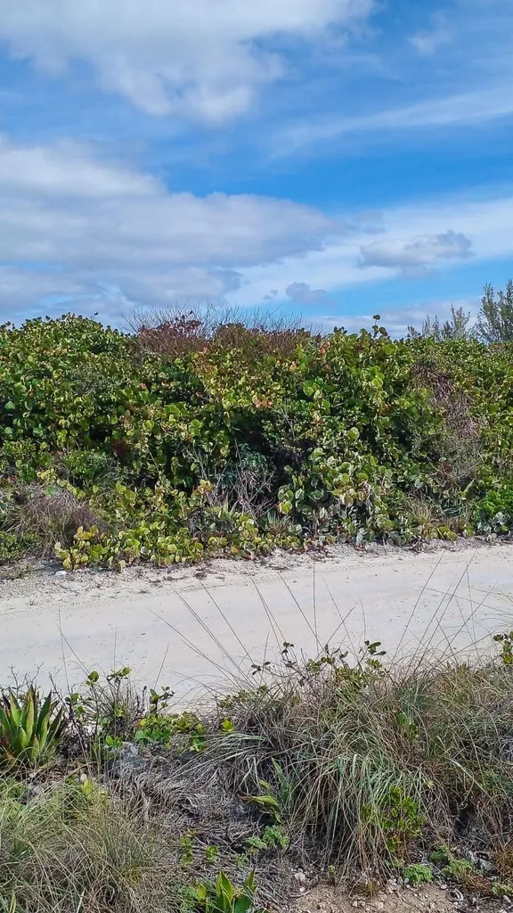 168a Whale Point Estates Eleuthera BS