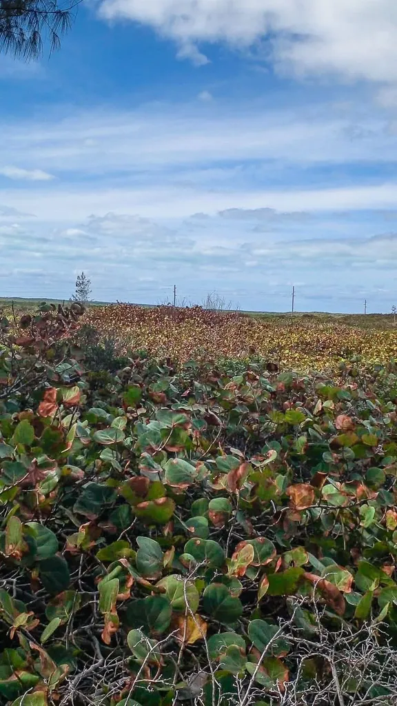 168a Whale Point Estates Eleuthera BS