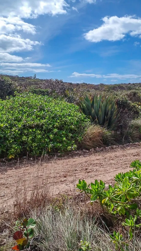 168a Whale Point Estates Eleuthera BS