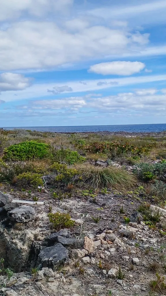 168a Whale Point Estates Eleuthera BS