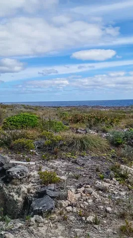 168a Whale Point Estates Eleuthera BS