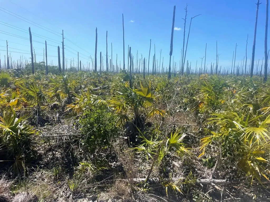 Lucaya Estates Property Grand Bahama Freeport BS