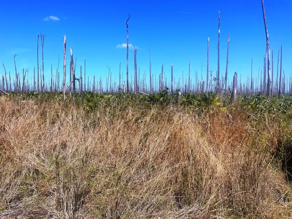 Lucaya Estates Property Grand Bahama Freeport BS