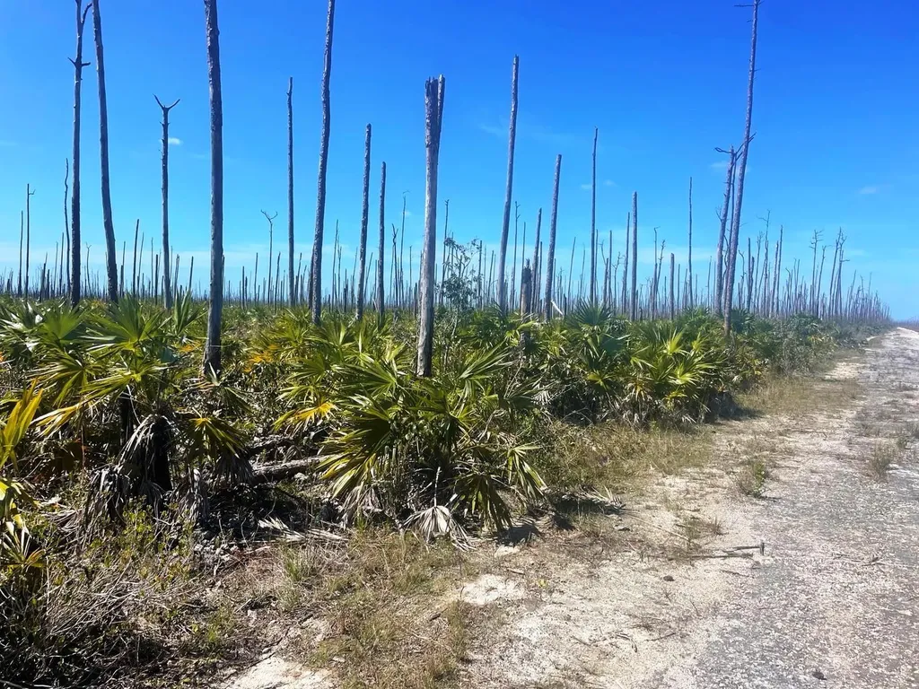 Lucaya Estates Property Grand Bahama Freeport BS