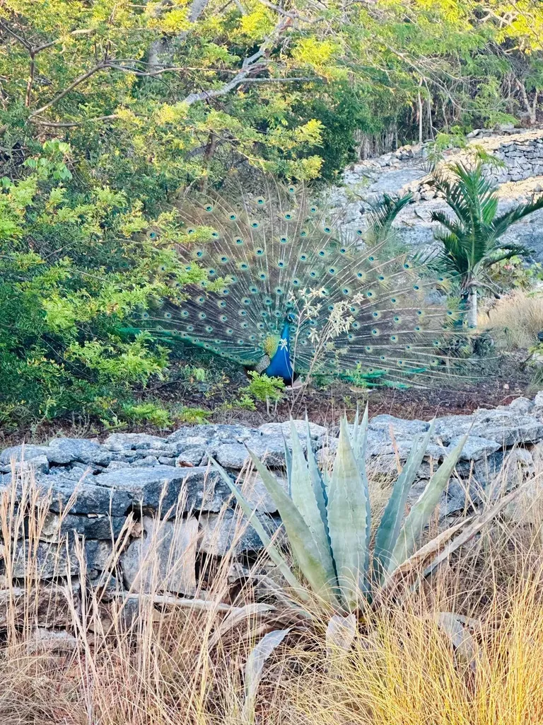 Taylor Mackenzie Drive #4 Exuma BS