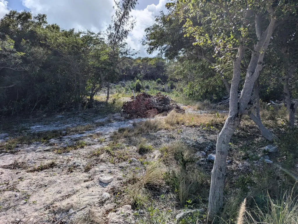 Taylor Mackenzie Drive #4 Exuma BS