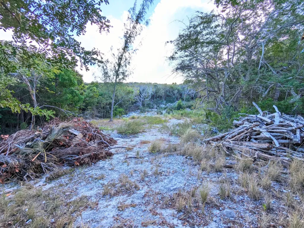Taylor Mackenzie Drive #4 Exuma BS