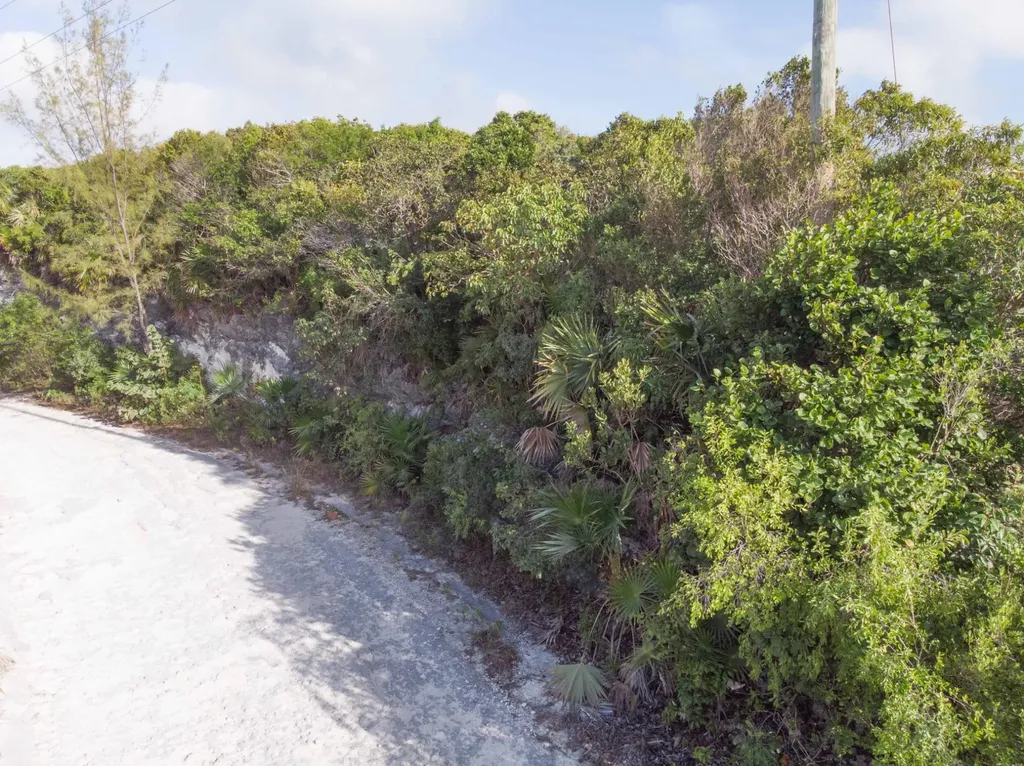 Wild Tamarind Drive Lot 297 Eleuthera BS