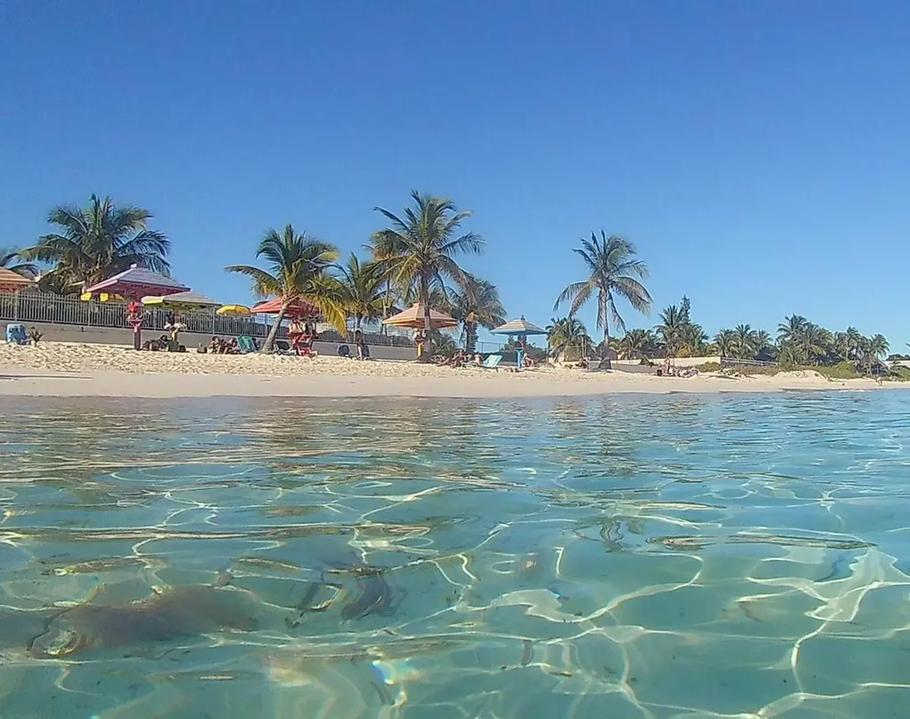Coral Beach Grand Bahama Freeport BS