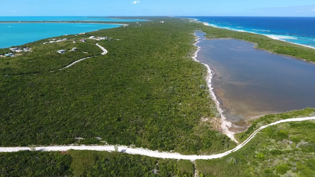 Salt Pond Long Island, B Long Island BS