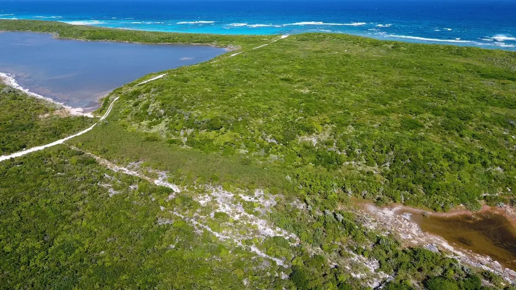 Salt Pond Long Island, B Long Island BS