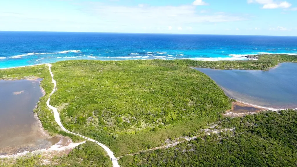 Salt Pond Long Island, B Long Island BS