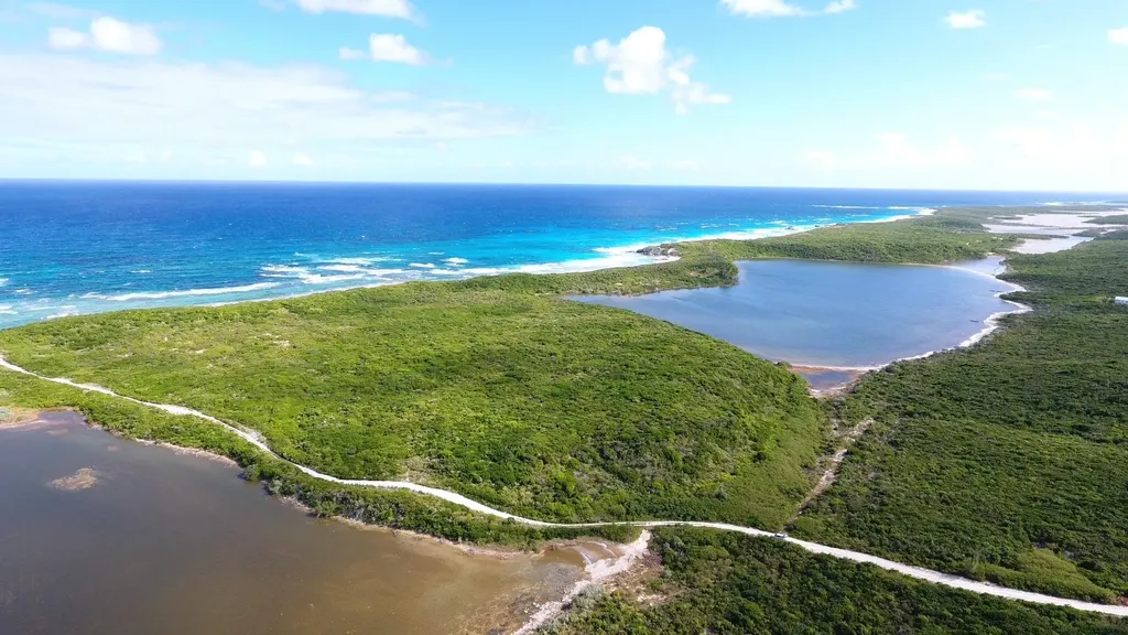 Salt Pond Long Island, B Long Island BS