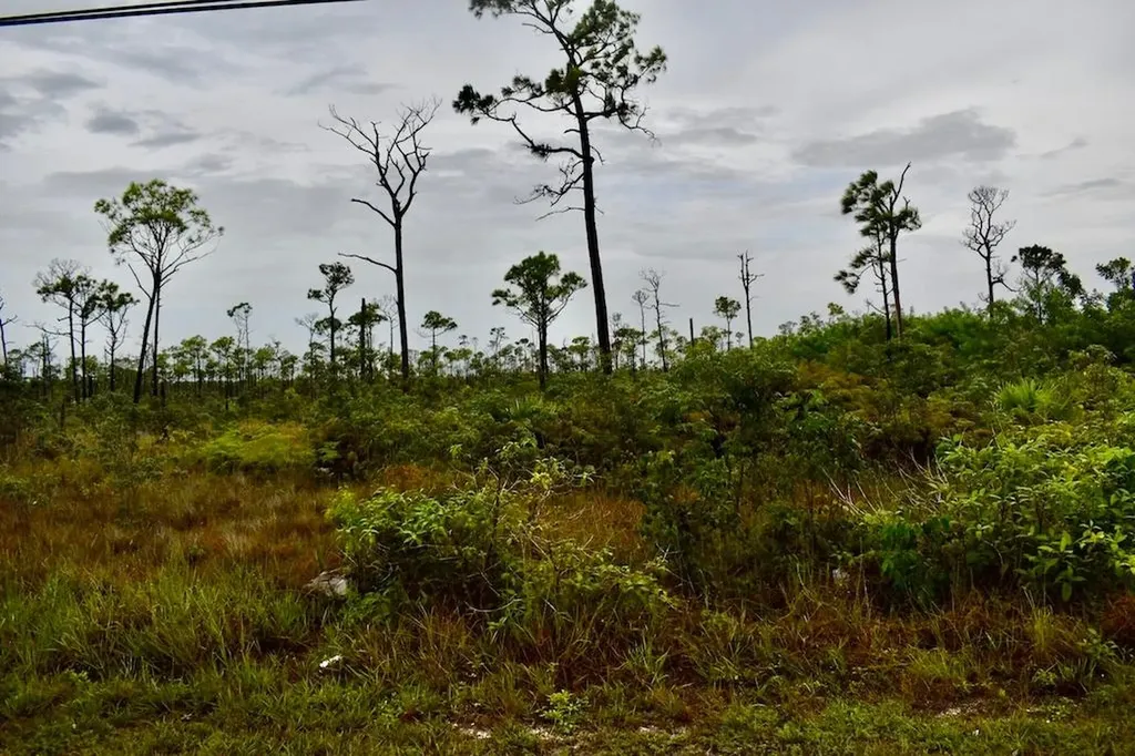 Lincoln Park Lot Grand Bahama Freeport BS