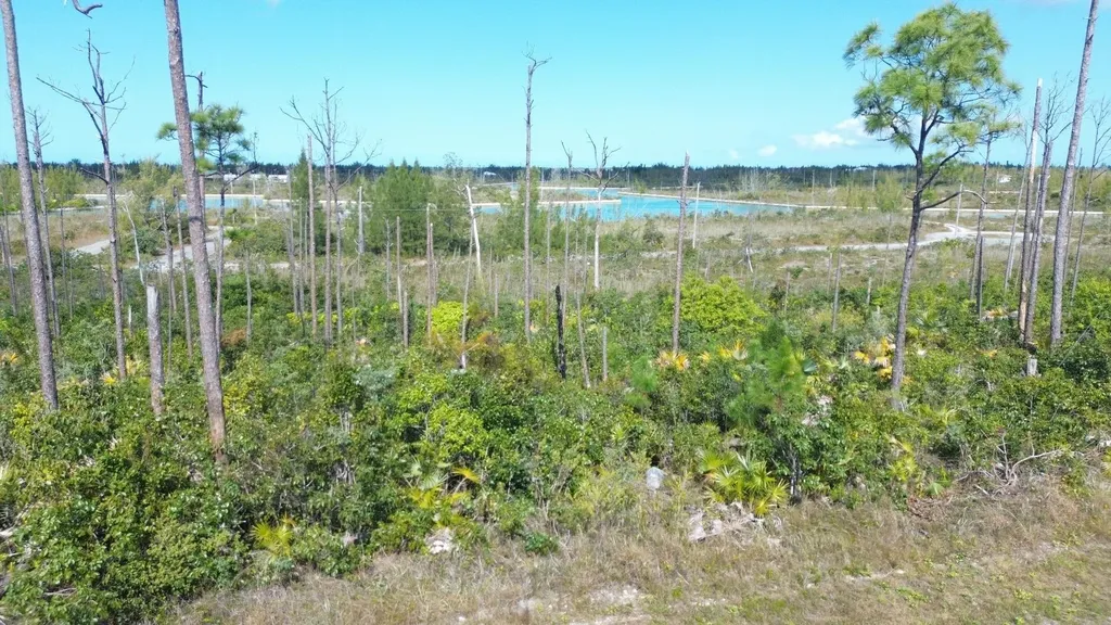 Bristol Bay Lot Grand Bahama Freeport BS