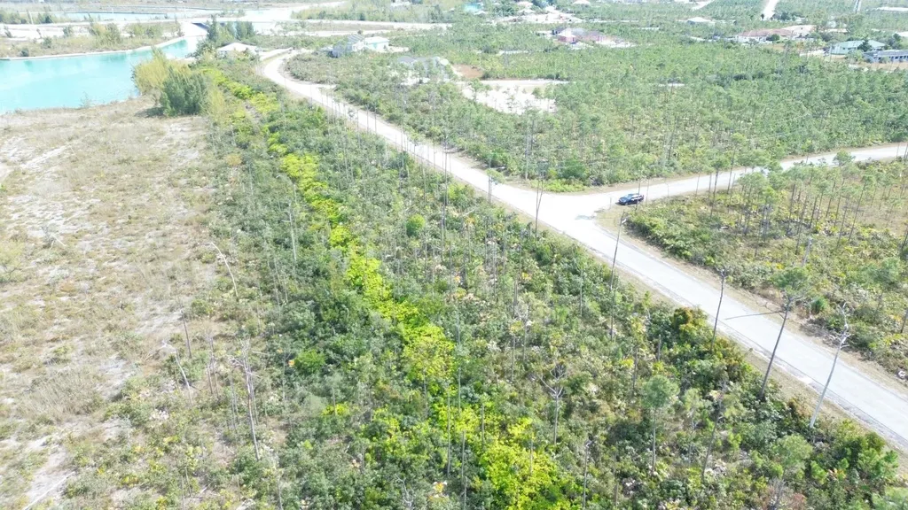 Bristol Bay Lot Grand Bahama Freeport BS