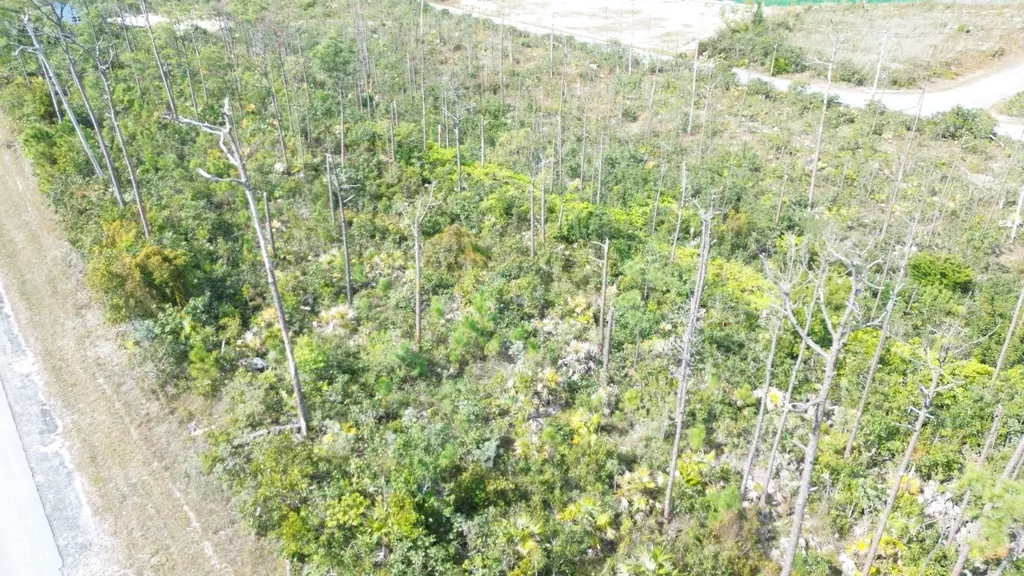 Bristol Bay Lot Grand Bahama Freeport BS