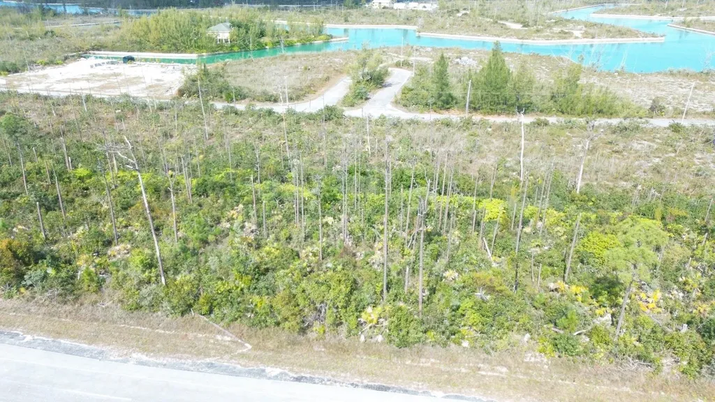 Bristol Bay Lot Grand Bahama Freeport BS