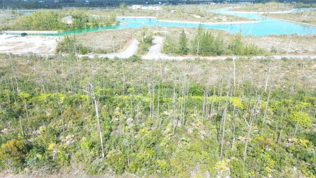 Bristol Bay Lot Grand Bahama Freeport BS