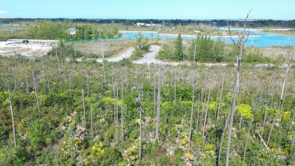 Bristol Bay Lot Grand Bahama Freeport BS