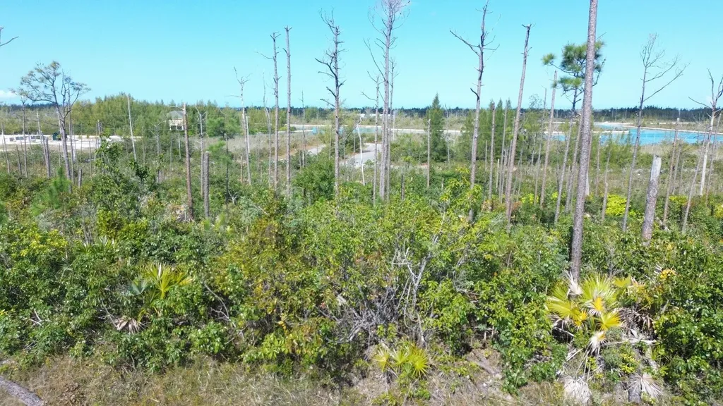 Bristol Bay Lot Grand Bahama Freeport BS